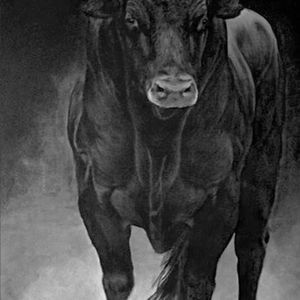 Meet your Posher, Kevin